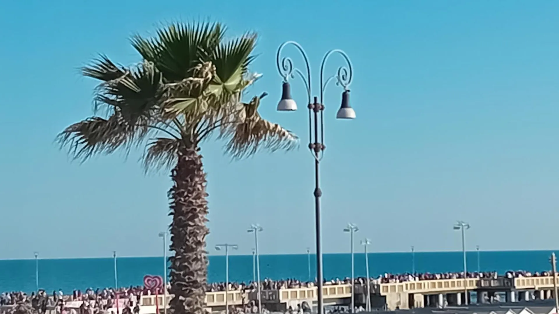 House Rome Front Sea Apartment Lido di Ostia Italy